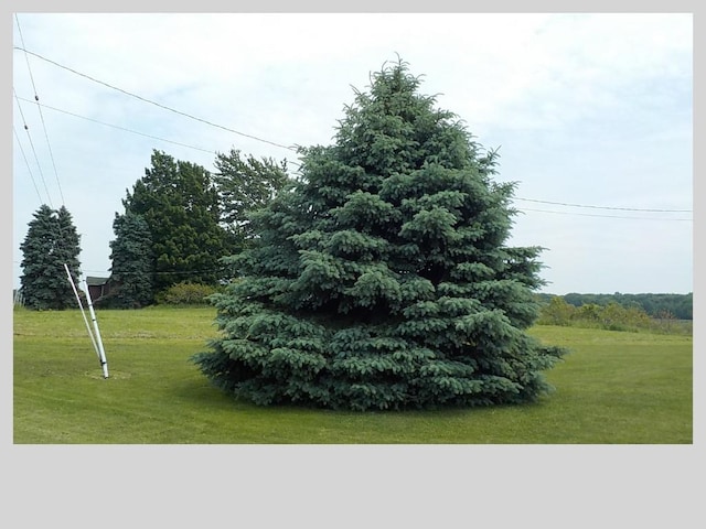 10687 Carris Rd, Ripley, NY 14775 - view of grassy yard