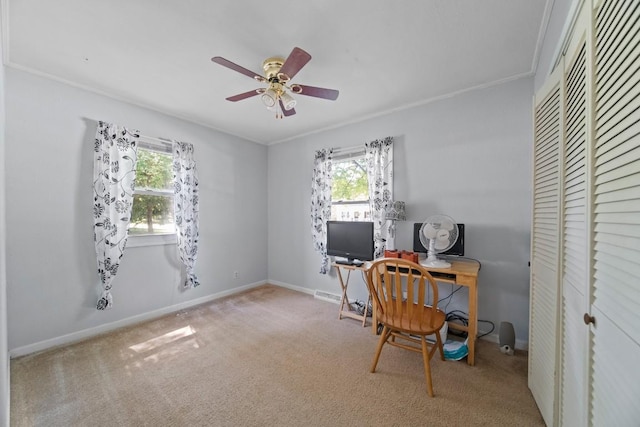 5243 W 53rd St, Fairview, PA 16415 - office area featuring plenty of natural light, ceiling fan, carpet, and crown molding