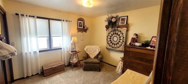 sitting room featuring carpet flooring