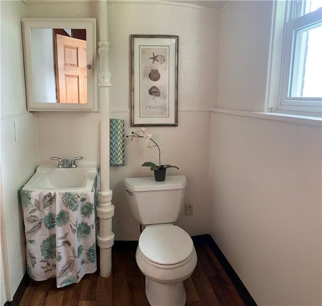 bathroom featuring sink, hardwood / wood-style floors, and toilet