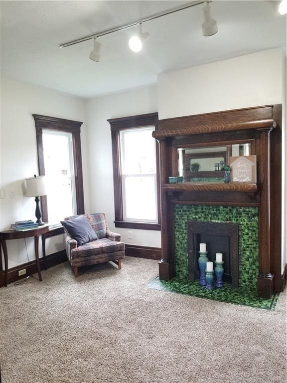 living room featuring carpet, a fireplace, and rail lighting