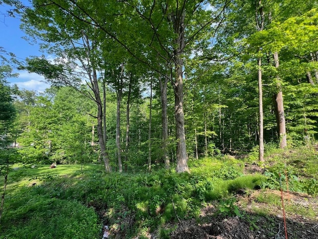 13478 Old Lake Rd Unit 62, East Springfield, PA 16411 - view of woods