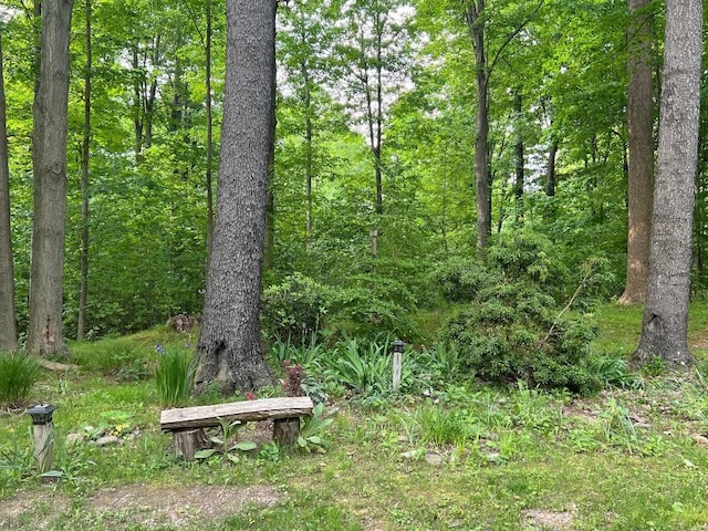 13478 Old Lake Rd Unit 62, East Springfield, PA 16411 - view of woods