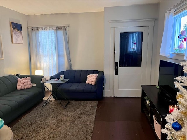 living room with dark hardwood / wood-style flooring