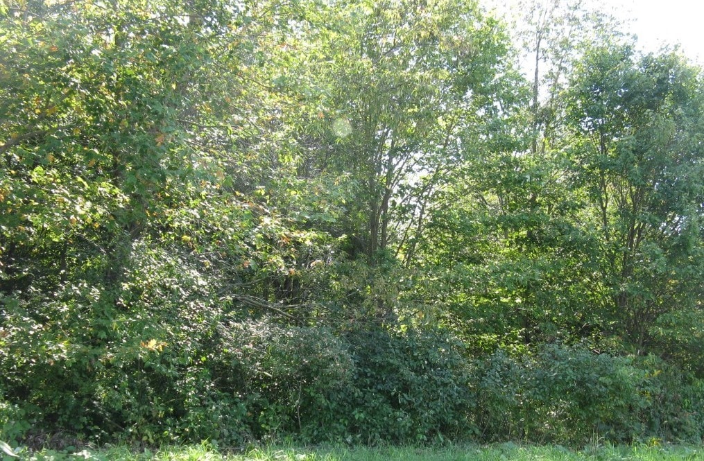 0 Leacock Rd, Edinboro, PA 16412 - photo 1