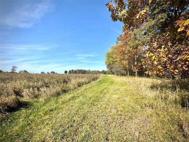 view of landscape with a rural view