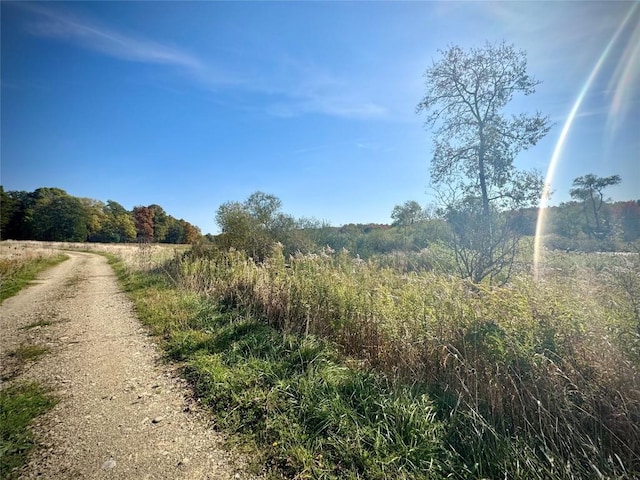 view of local wilderness with a rural view