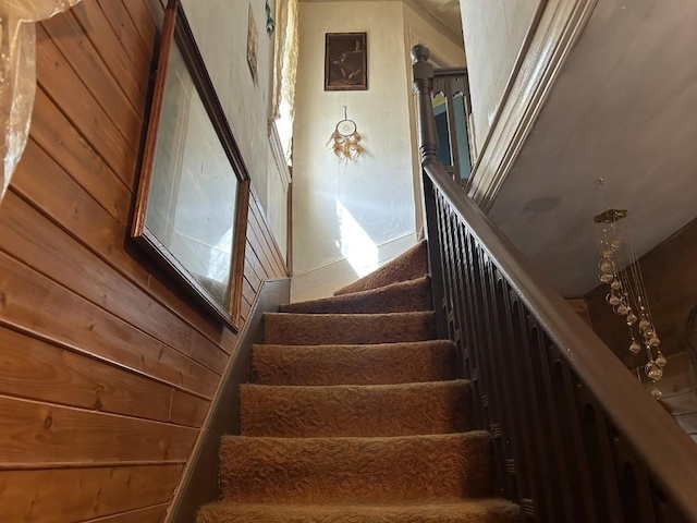 745 W Spring St, Titusville, PA 16354 - photo 20