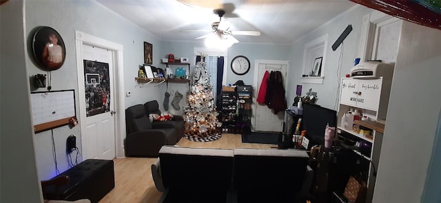 office area featuring ornamental molding, ceiling fan, and light hardwood / wood-style flooring