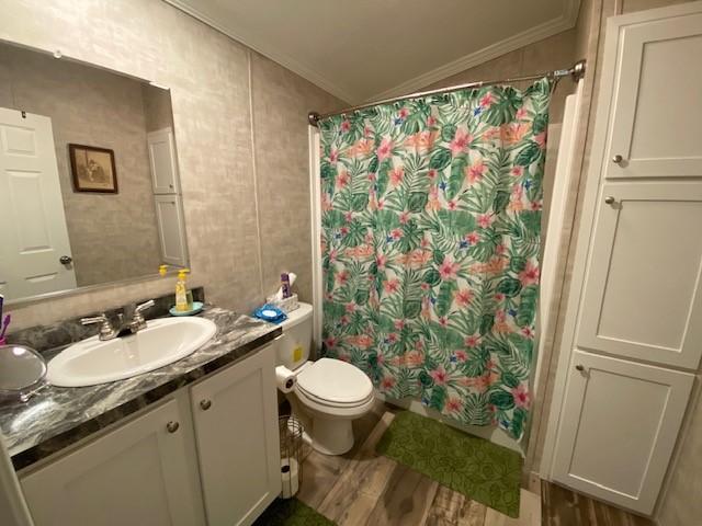 bathroom featuring vanity, wood finished floors, lofted ceiling, ornamental molding, and toilet