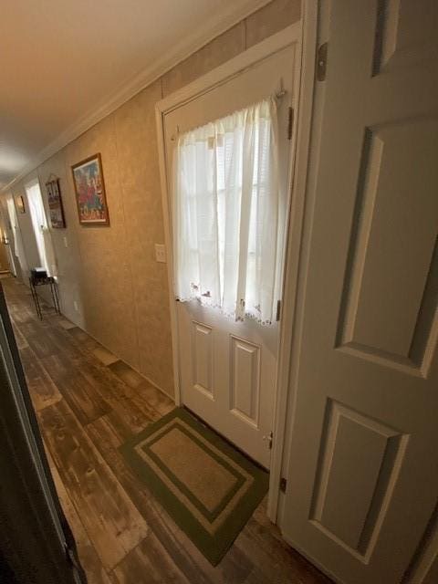 entryway featuring dark wood-style floors and ornamental molding