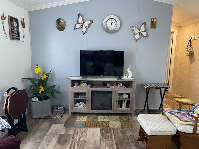 living room featuring crown molding and wood finished floors