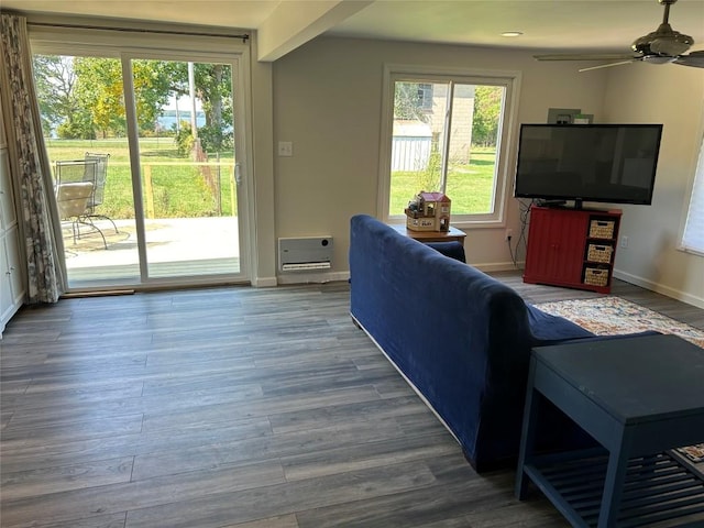 living room with a wealth of natural light, hardwood / wood-style floors, and ceiling fan