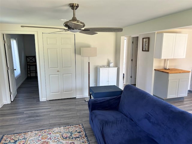 living room featuring ceiling fan