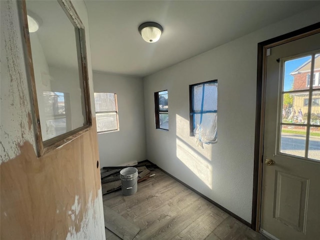 interior space with wood-type flooring