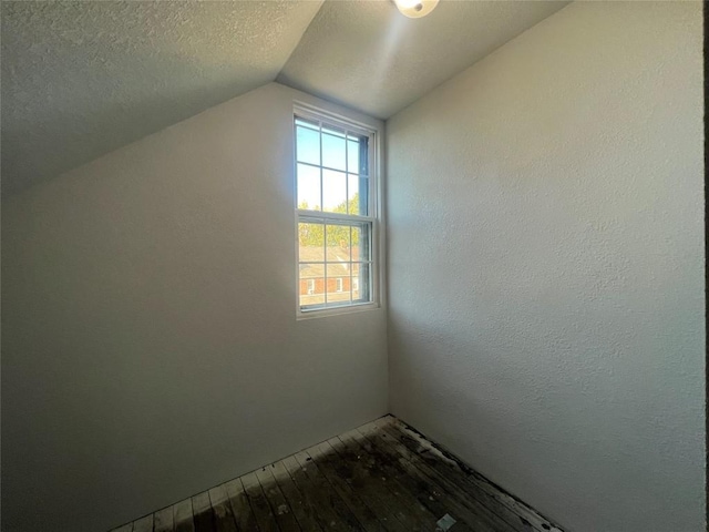 additional living space with a textured ceiling and lofted ceiling