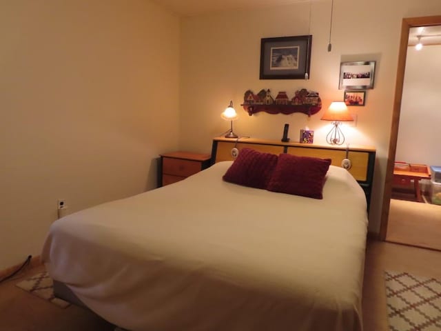 1900 Navaho Rd, Jamestown, PA 16134 - view of carpeted bedroom