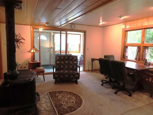 1900 Navaho Rd, Jamestown, PA 16134 - office space with carpet flooring and wooden ceiling