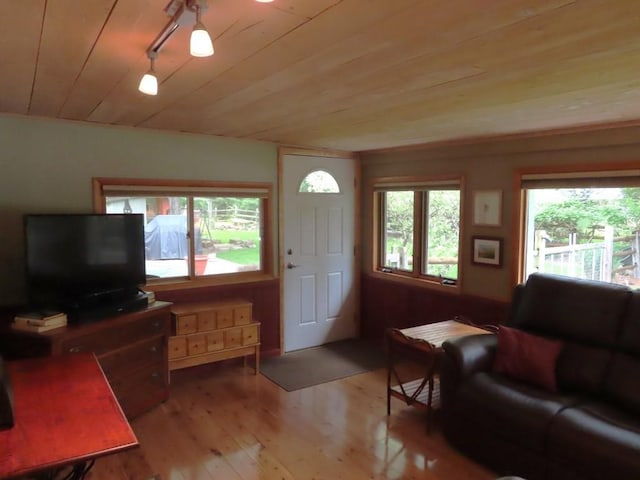 1900 Navaho Rd, Jamestown, PA 16134 - living area featuring wood finished floors, wood ceiling, plenty of natural light, and track lighting