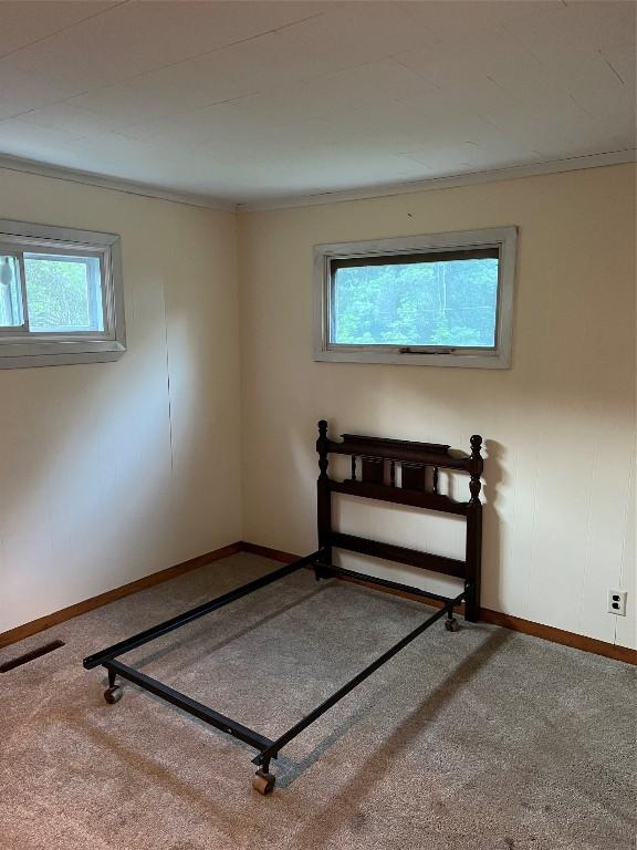 unfurnished room featuring carpet and crown molding