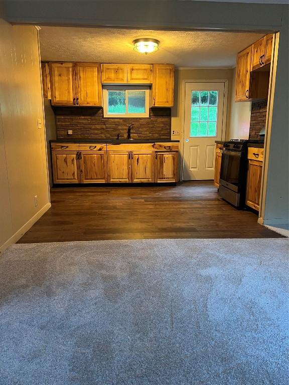 kitchen featuring sink, dark wood-type flooring, and gas stove