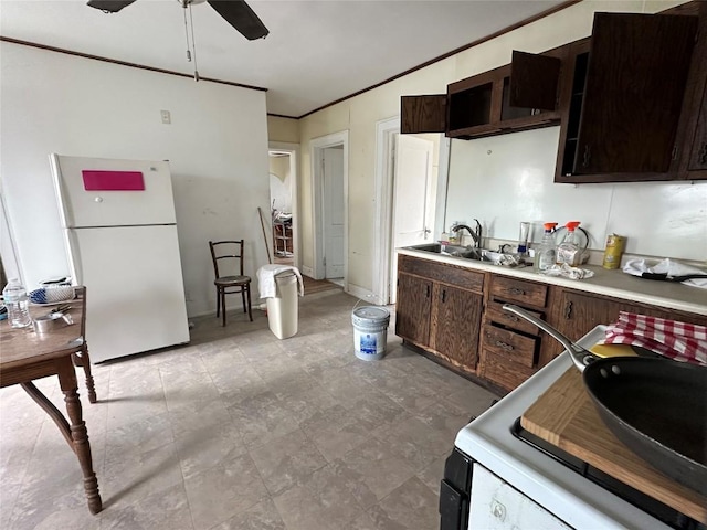 kitchen with crown molding, ceiling fan, dark brown cabinetry, a sink, and white appliances