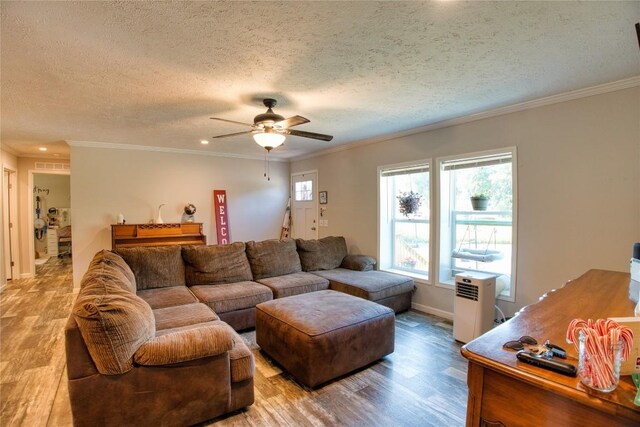134 Primrose Ln, Edinboro, PA 16412 - living room featuring wood finished floors, ceiling fan, a textured ceiling, and ornamental molding