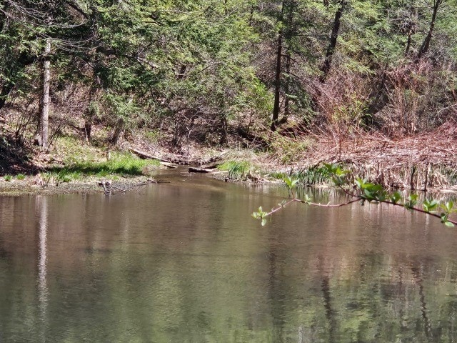 1925 N Mill St, North East, PA 16428 - water view