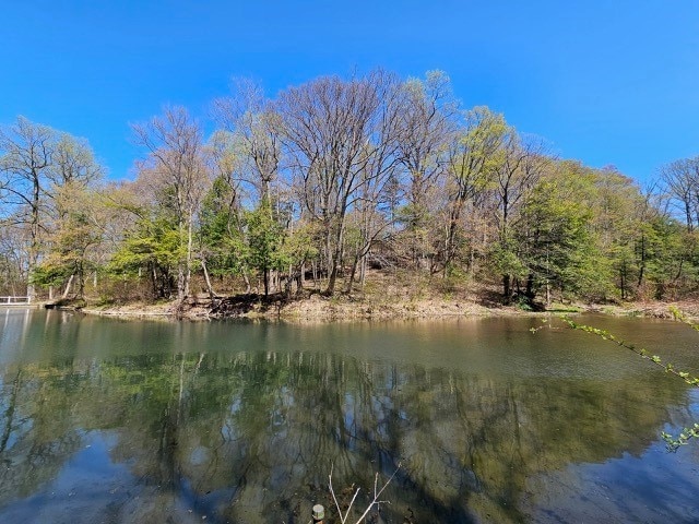 1925 N Mill St, North East, PA 16428 - property view of water