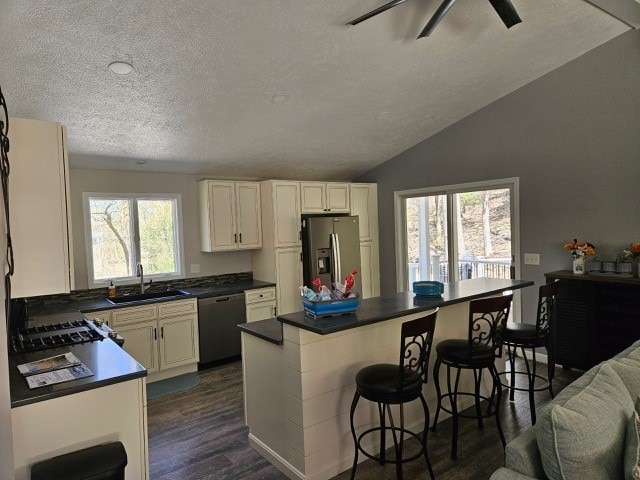 1925 N Mill St, North East, PA 16428 - kitchen featuring dark wood-style flooring, dark countertops, a textured ceiling, a sink, and appliances with stainless steel finishes