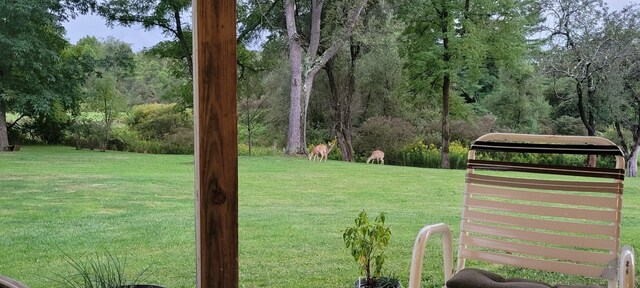 39501 Centerville Rd, Centerville, PA 16404 - view of green lawn