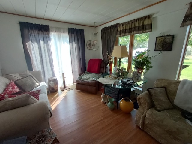 living room with crown molding and hardwood / wood-style floors