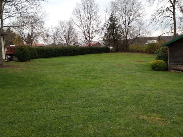 39501 Centerville Rd, Centerville, PA 16404 - view of grassy yard