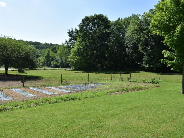 17503 Price Rd, Saegertown, PA 16433 - photo 46