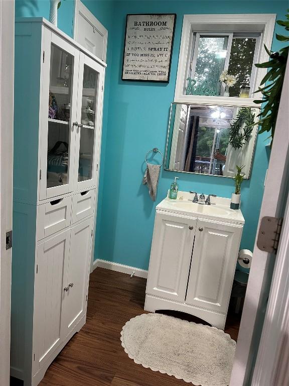 bathroom featuring vanity and hardwood / wood-style flooring