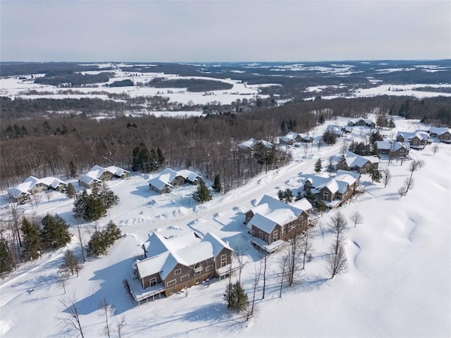 view of snowy aerial view