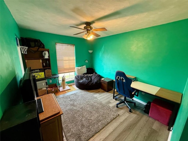2735 W 35th St, Erie, PA 16506 - office featuring ceiling fan and light wood-style flooring