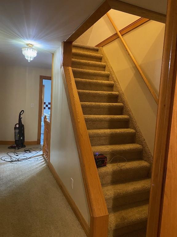 1813 Myrtle St, Erie, PA 16502 - stairs with carpet floors and baseboards