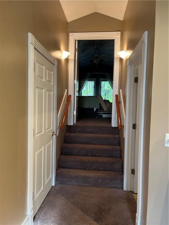 stairway with carpet floors and vaulted ceiling