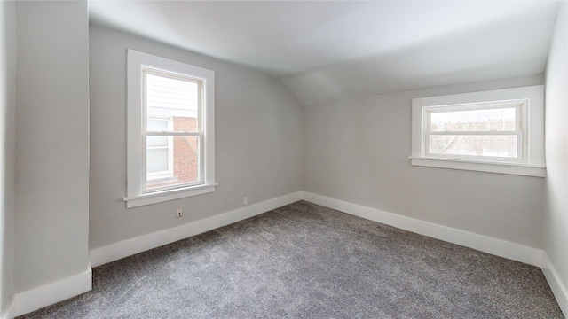 additional living space with carpet and vaulted ceiling