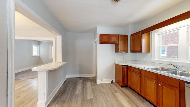 kitchen featuring dishwasher, light hardwood / wood-style flooring, and sink