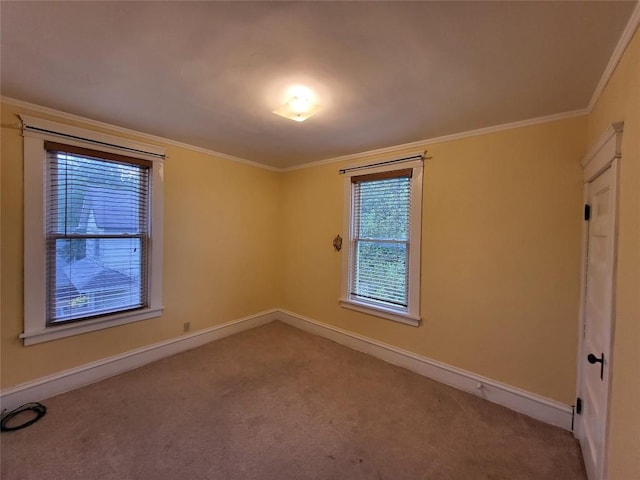 1038 Liberty St, Meadville City, PA 16335 - spare room with carpet flooring, baseboards, and crown molding