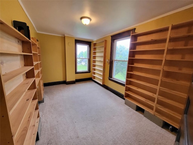 1038 Liberty St, Meadville City, PA 16335 - unfurnished room featuring light carpet, crown molding, and baseboards