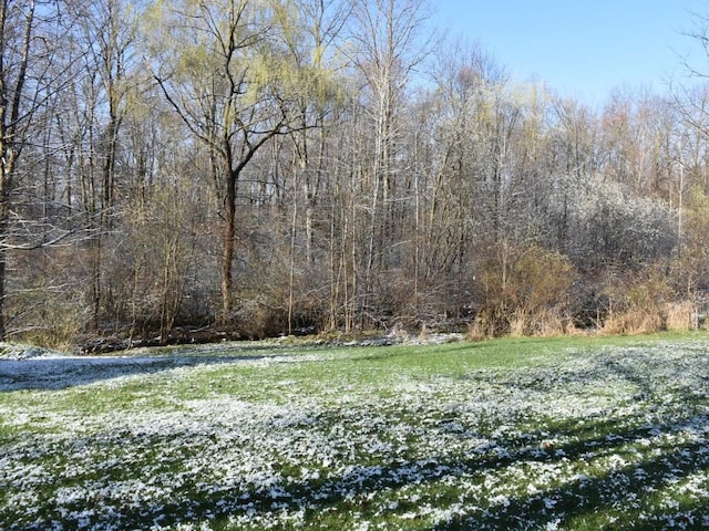1429 Quick Dr, Espyville, PA 16424 - view of yard
