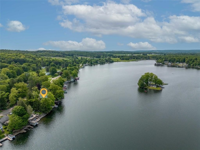 2397 Sunnyside Rd, Findley Lake, NY 14736 - photo 42