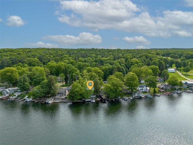 2397 Sunnyside Rd, Findley Lake, NY 14736 - photo 43