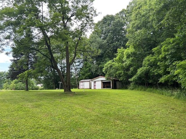 263 W Jamestown Rd, Jamestown, PA 16134 - view of green lawn with a detached garage, an outdoor structure, and an outbuilding