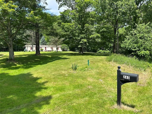 263 W Jamestown Rd, Jamestown, PA 16134 - view of green lawn