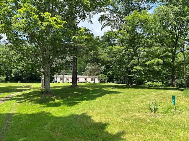 263 W Jamestown Rd, Jamestown, PA 16134 - view of green lawn