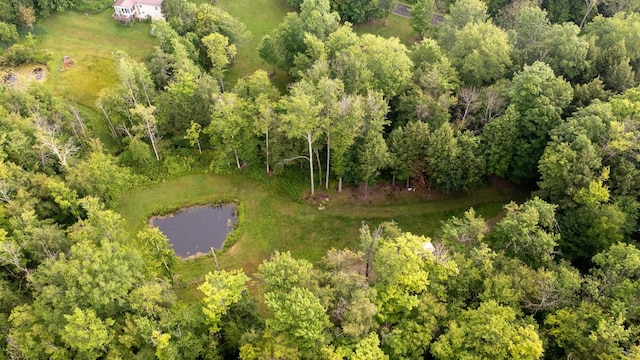 Sherwood Dr, Wattsburg Boro, PA 16442 - photo 3
